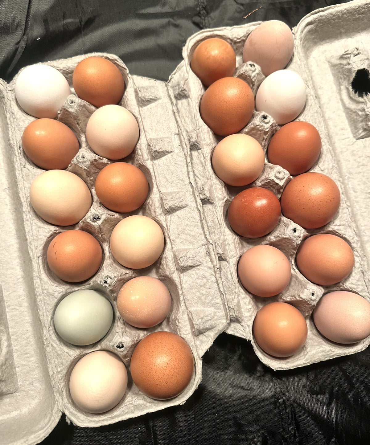 Pasture Raised Eggs