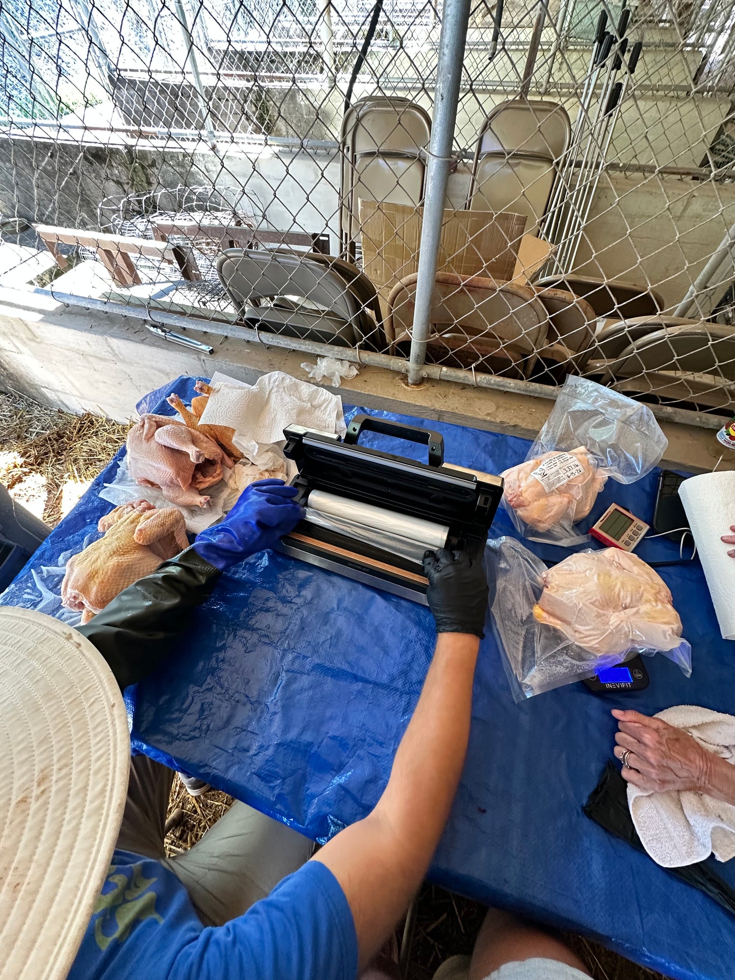 Pasture Raised Chicken