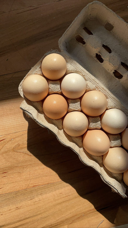 Pasture Raised Eggs